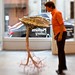 Eric Eley Photo 18