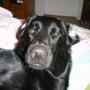 Trudy Mcdonald Photo 18