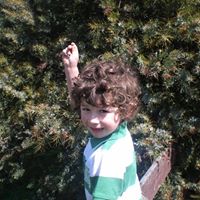 Rex Burns Photo 3