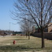 Jessica Crowder Photo 44