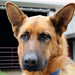 Fritz Francois Photo 44