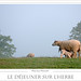 Eric Mouton Photo 21
