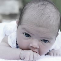 John Sabella Photo 7