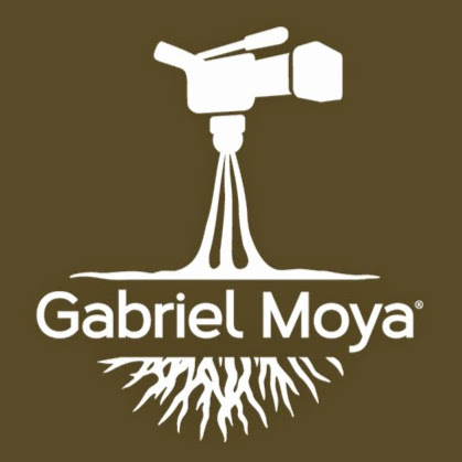 Gabriel Moya Photo 11