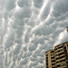 Diane Cloud Photo 33