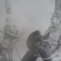 Robin Wolff Photo 2