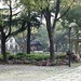 Nan Lin Photo 32
