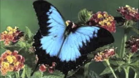 Peter Spivak Photo 6