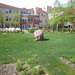 Derek Younger Photo 20