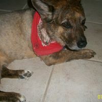 Janet Salyer Photo 1