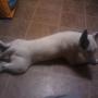 Sal Arias Photo 7