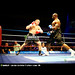 Steve Box Photo 37