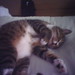 Kitty Henry Photo 16