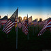 Shaun Weber Photo 31