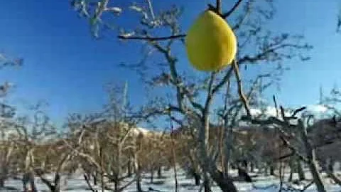 Mircea Rusu Photo 22