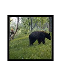 Jerry Nickell Photo 6