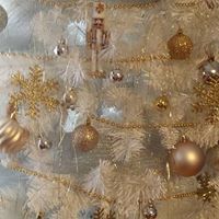 Suzanne Aubin Photo 8