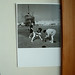 Kelly Bergen Photo 27