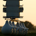 Martin Tipton Photo 18