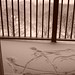 Simon Perkins Photo 38