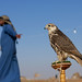 Eric Falconer Photo 25