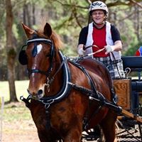 Debra Dangelo Photo 1