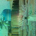 Mohammed Qasim Photo 34