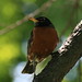 Robin Mcclain Photo 44
