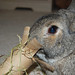 Dusty Dean Photo 38