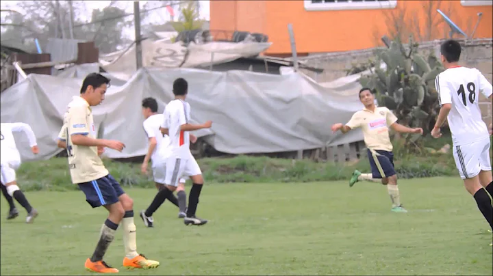 Fernando Roldan Photo 24