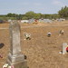 Warren Lyons Photo 20