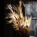 Ray Wheat Photo 15