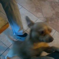 Lynda Robinson Photo 5