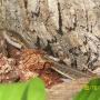 Dottie Roberts Photo 20