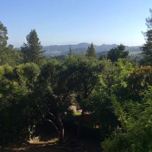 Shellie Kirby Photo 7