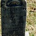 Jesse Baugh Photo 28