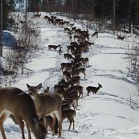 Graham Matthews Photo 3