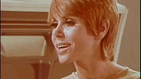 Judy Sears Photo 28