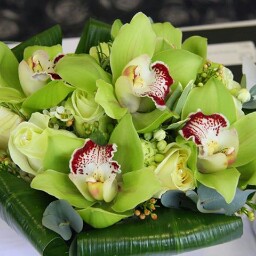 Lai Phan Photo 14
