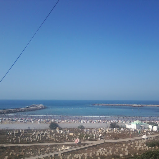 Mohammed El Photo 6