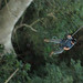 Ryan Samford Photo 13