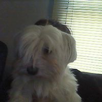Joey Perkins Photo 6