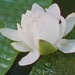 Vu Diep Photo 32