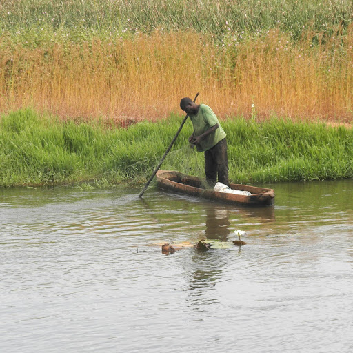 Abdoulaye Camara Photo 10