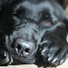 Emma Good Photo 27