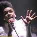 Janelle Page Photo 19