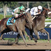 John Travers Photo 43
