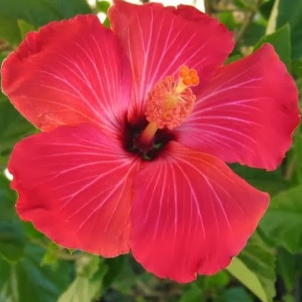 Crystal Yetter Photo 4