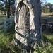 Mark Petrie Photo 39