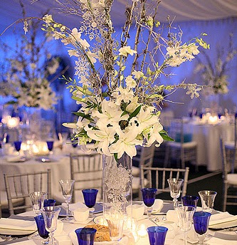 Ann Silva Photo 13